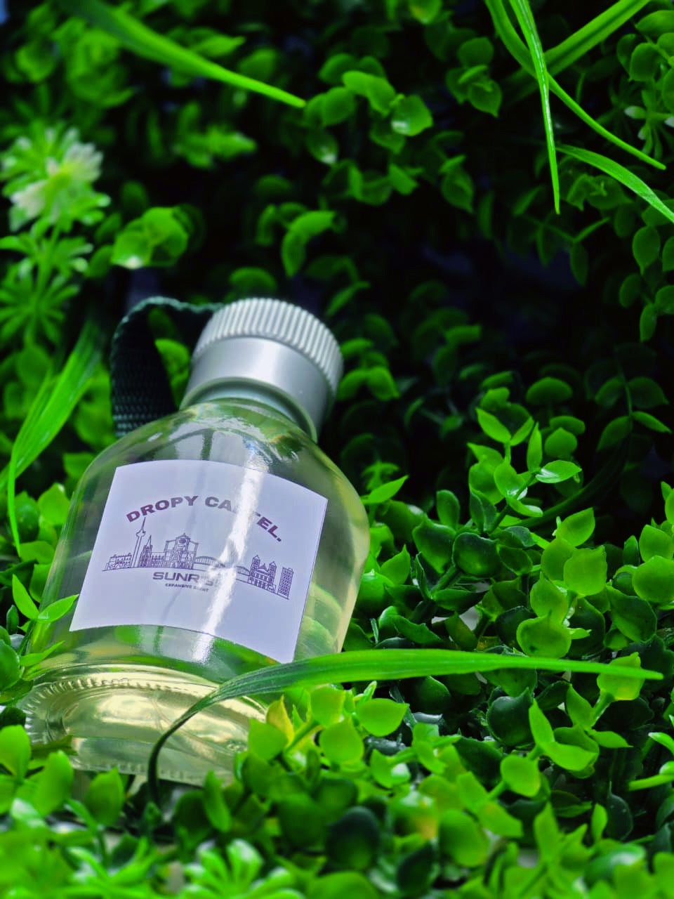 SUN RISE OUD MOOD COLOGNE